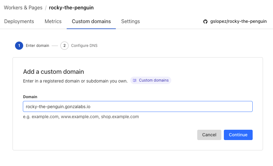 Cloudflare Custom DNS